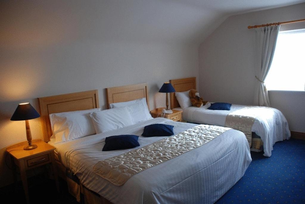 Virginia'S Guesthouse Kenmare Luaran gambar